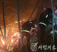 경북 영덕읍 화수리 897 일원서 산불 발생