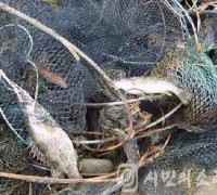 어구 초과 사용 등 충남해상 불법 어업 ‘기승’