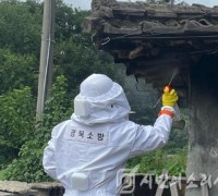 경북 추석 전후 벌 쏘임·예초기 안전사고 ‘급증’