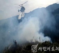 강원 홍천과 전남 완도서 산불 연이어 발생