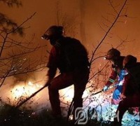 [종합]주말 전국서 크고 작은 산불 연이어 발생