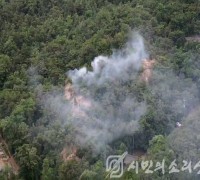 서울시, 관악산 방화 추정 산불 가해자 끝까지 추적, 엄중 대처