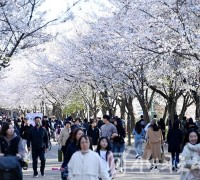 세대별 취향 저격, 인천 꽃놀이 장소 추천