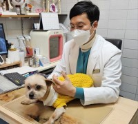 인천 중구, ‘구민·반려동물 안전’ 2024 상반기 광견병 예방접종 추진