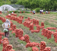 양파·사과 등 10대 농산물 중심 ‘역대 최대’ 농번기 인력 공급